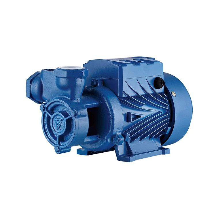 Peripheral Vane Pump